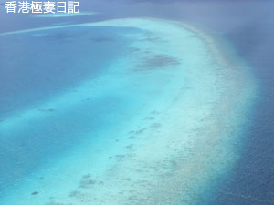 f0190653_91738100.jpg