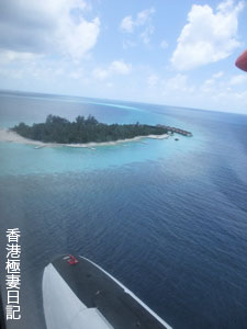 f0190653_918184.jpg