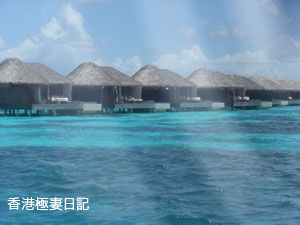 f0190653_919171.jpg