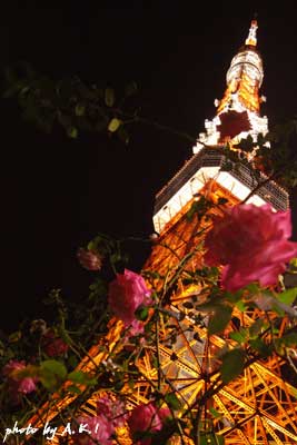 b0132755_23531752.jpg