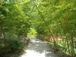 a0088456_1955576.jpg