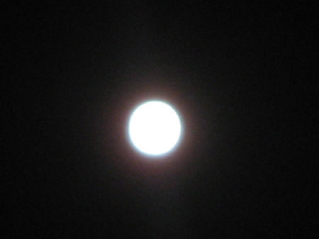 b0165858_15222254.jpg