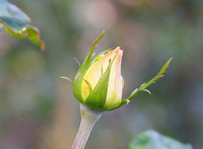 a0094959_9555655.jpg