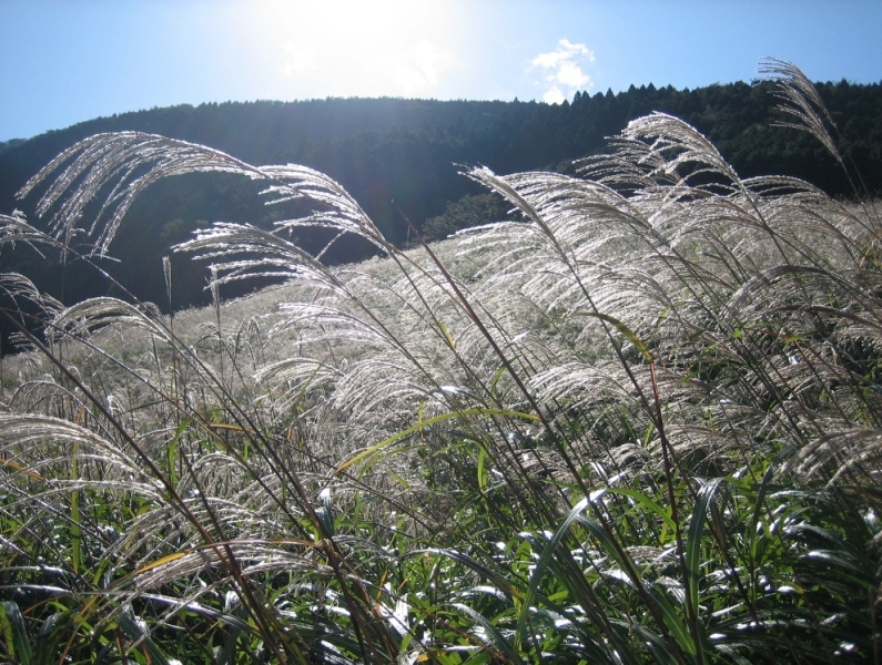c0214259_2322576.jpg