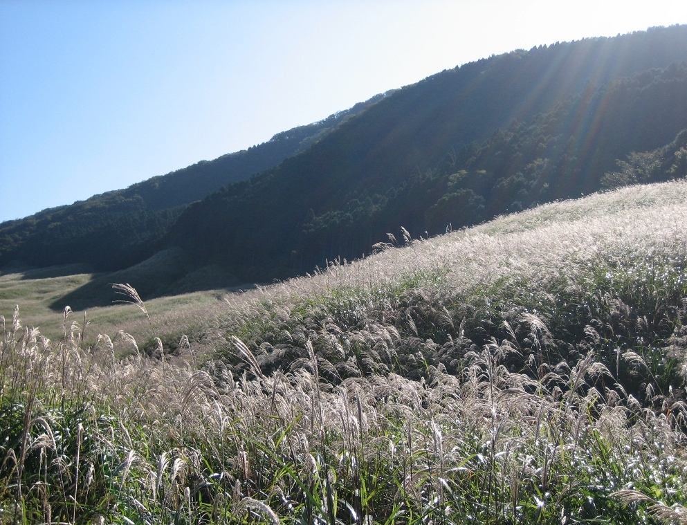 c0214259_23262528.jpg