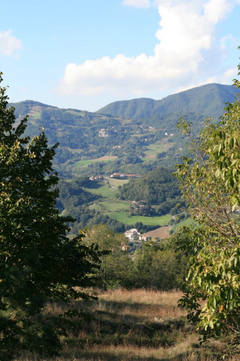 f0077159_4472795.jpg