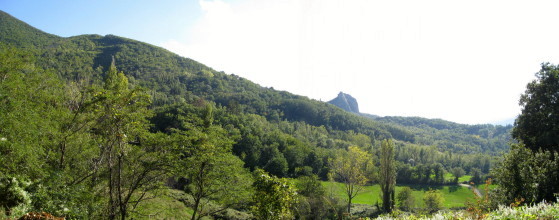 f0077159_4554639.jpg