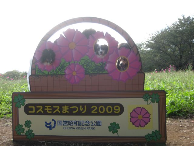 f0130760_1472184.jpg
