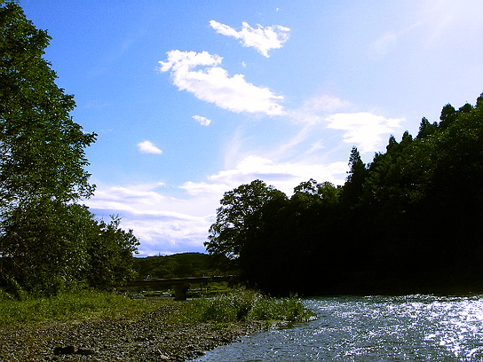 f0084561_1333188.jpg