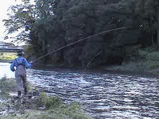 f0084561_13335115.jpg