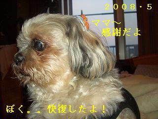 a0137263_023627.jpg