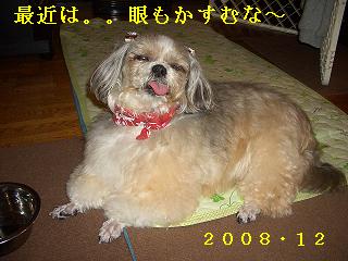 a0137263_034277.jpg