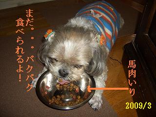 a0137263_0472056.jpg