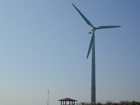 c0180963_0545266.jpg