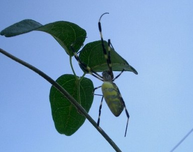 c0186463_17164430.jpg