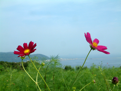 c0050264_23235970.jpg