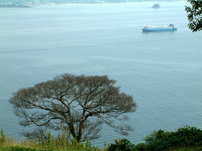 c0050264_23241768.jpg