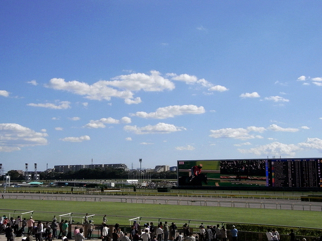 c0158464_10397100.jpg