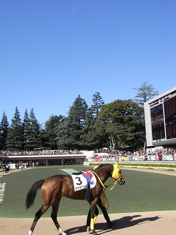 c0158464_10404461.jpg