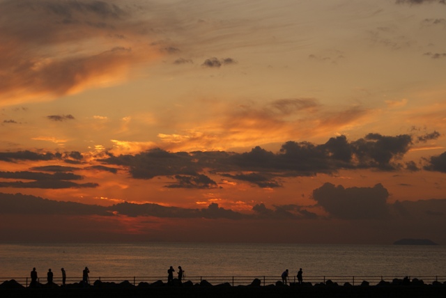 a0091666_1410393.jpg
