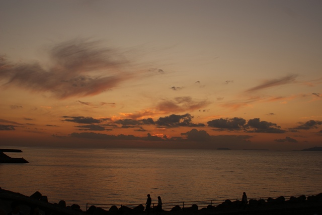 a0091666_1411047.jpg