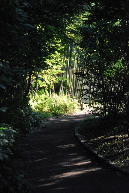 b0174068_22145690.jpg