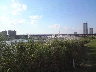 c0102268_1717549.jpg