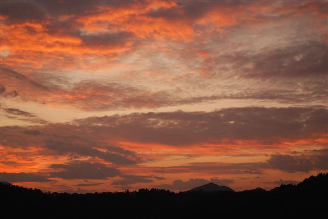 f0118968_654440.jpg