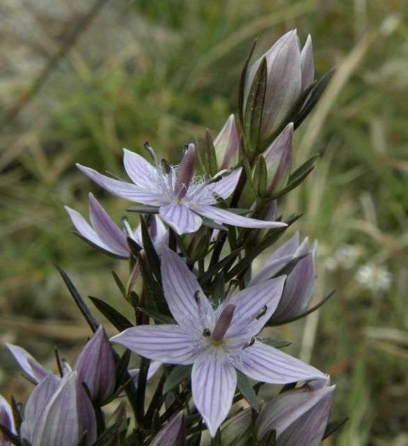 c0042869_19143790.jpg