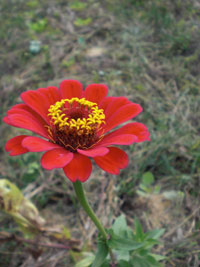 c0062569_2131486.jpg