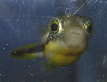 a0014770_0222743.jpg