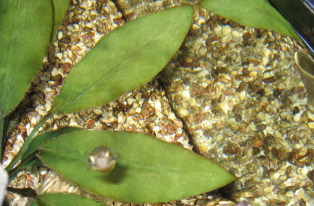 a0014770_0314918.jpg