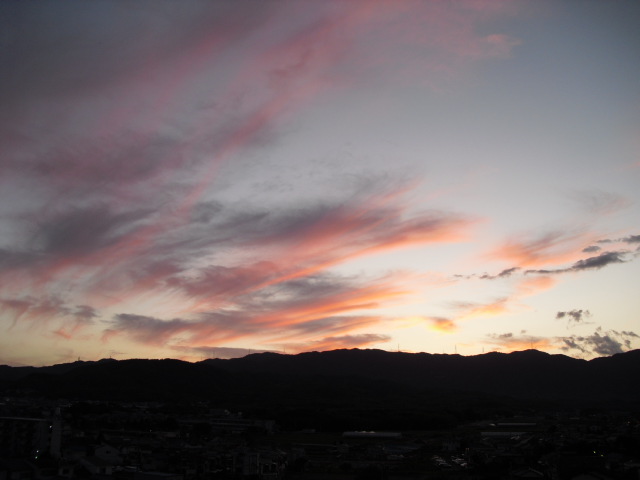 c0213470_042639.jpg