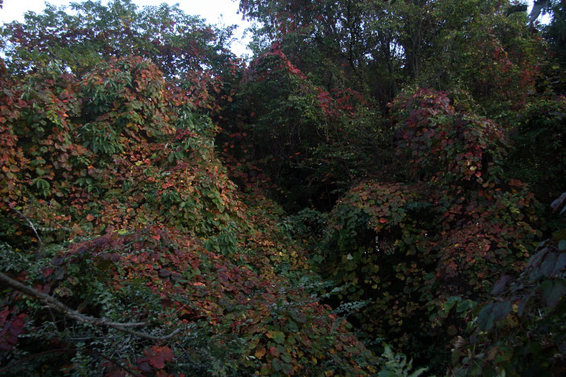 e0100772_22184957.jpg