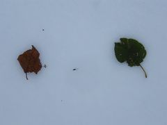 b0128173_19363.jpg