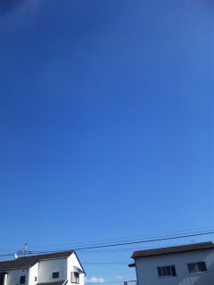 d0109373_0312060.jpg