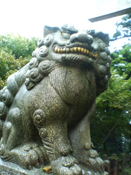 f0054677_895422.jpg