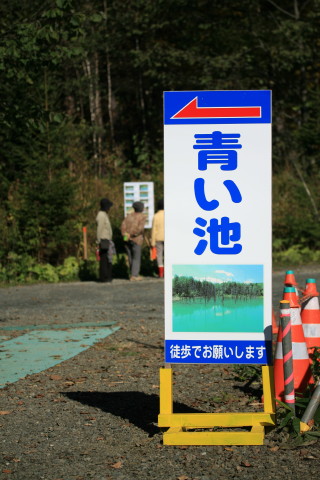 c0149779_15334134.jpg