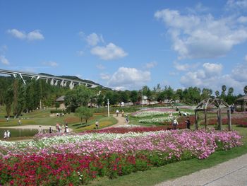 e0012580_16242684.jpg