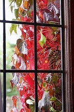 a0107981_2316227.jpg