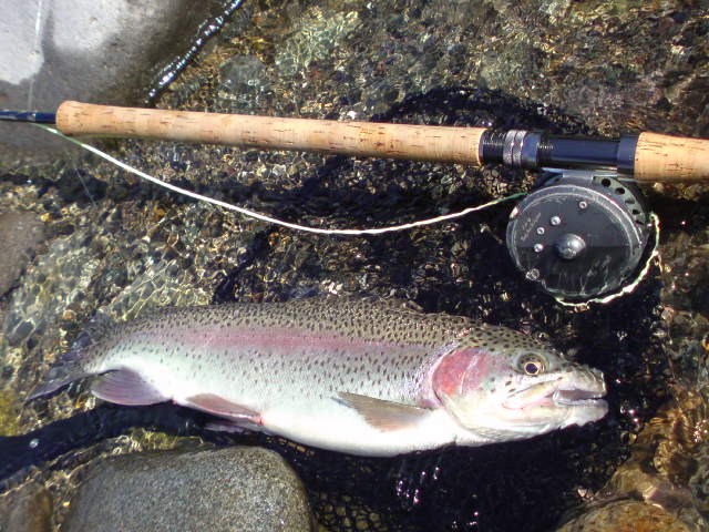 c0157482_2059231.jpg