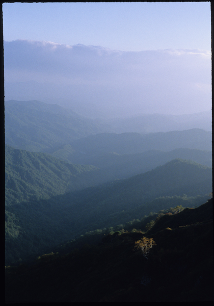 a0053783_21312540.jpg
