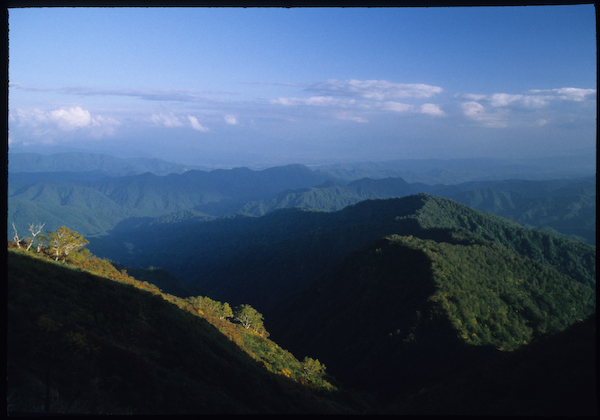 a0053783_2131647.jpg