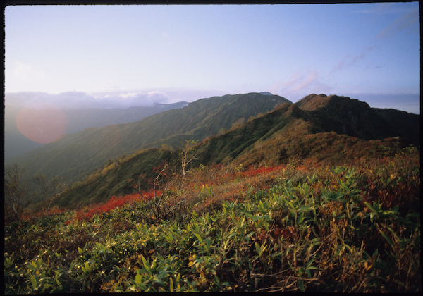 a0053783_21322455.jpg