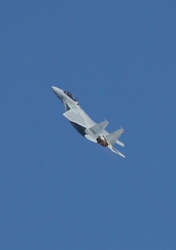 b0119493_2194926.jpg