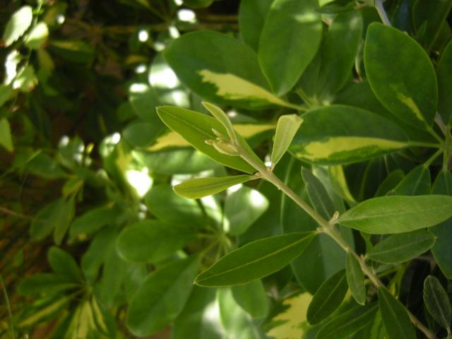 b0122893_0404767.jpg