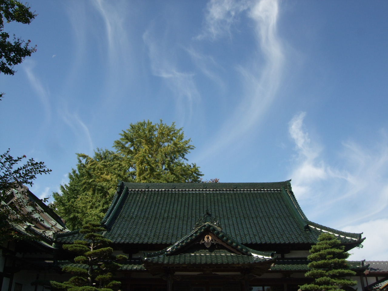 f0100593_19221849.jpg