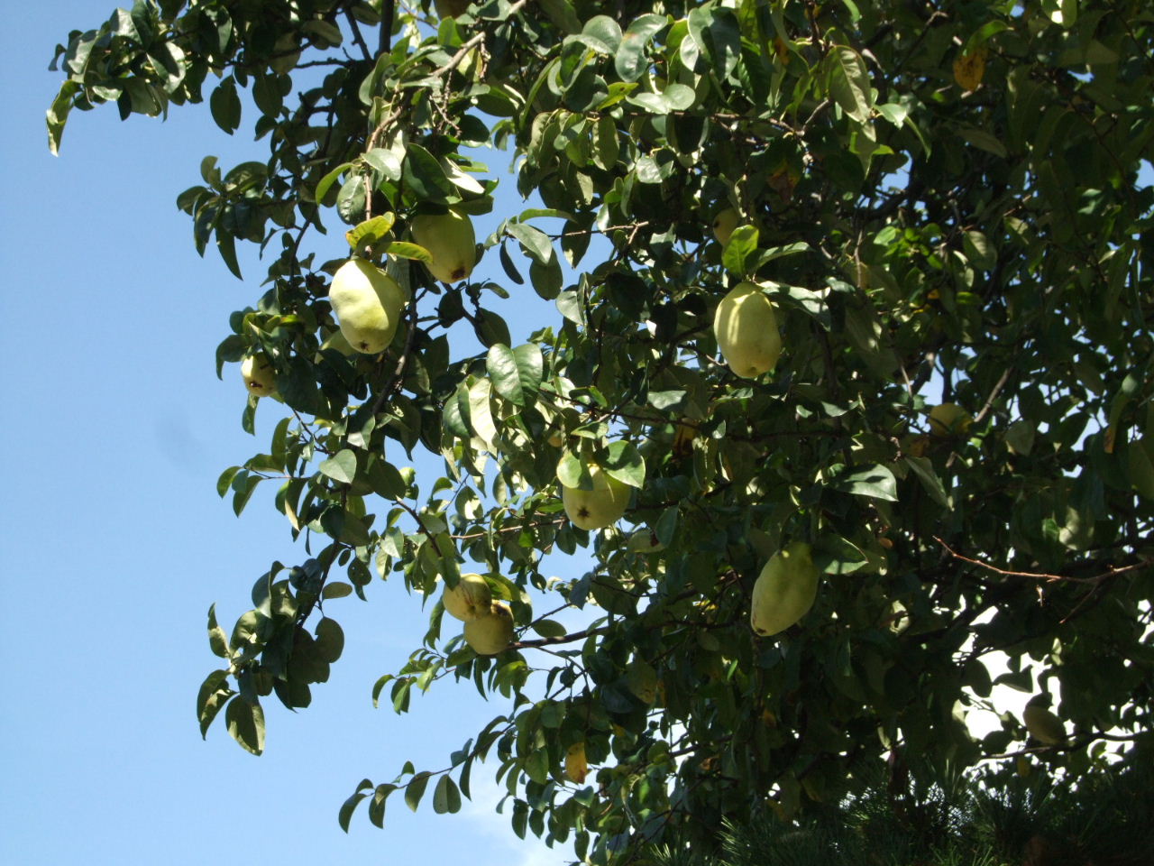 f0100593_1922711.jpg