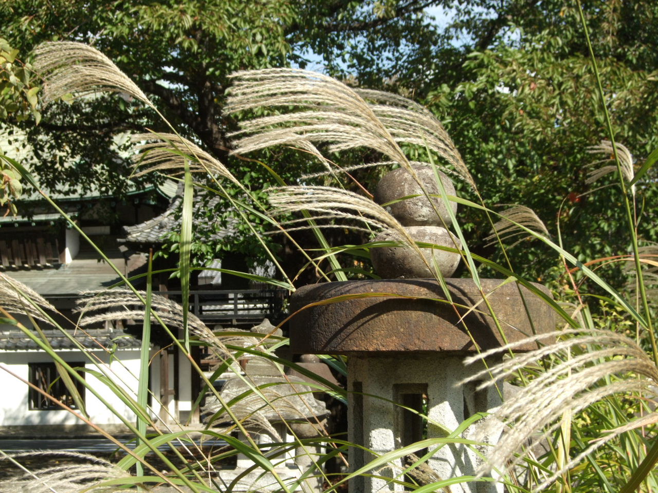 f0100593_19234431.jpg