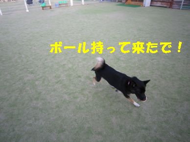 a0137294_1320141.jpg